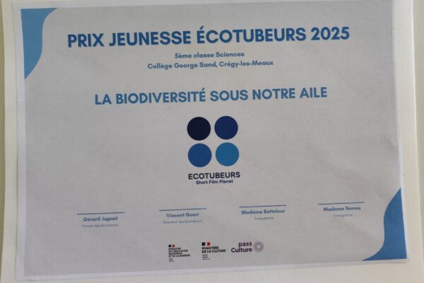 prix jeunesse